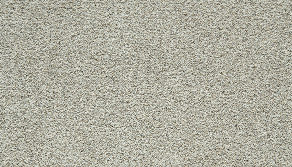 Cozy Companion I Polyester London Fog 917 Carpet Textured 1
