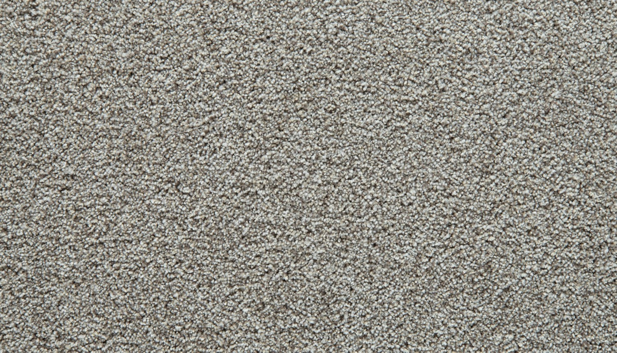 Cozy Companion I Polyester Oyster 948 Carpet Textured 1