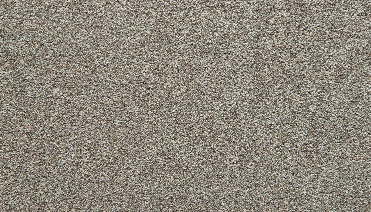 Cozy Companion I Polyester Winter 954 Carpet Textured 1