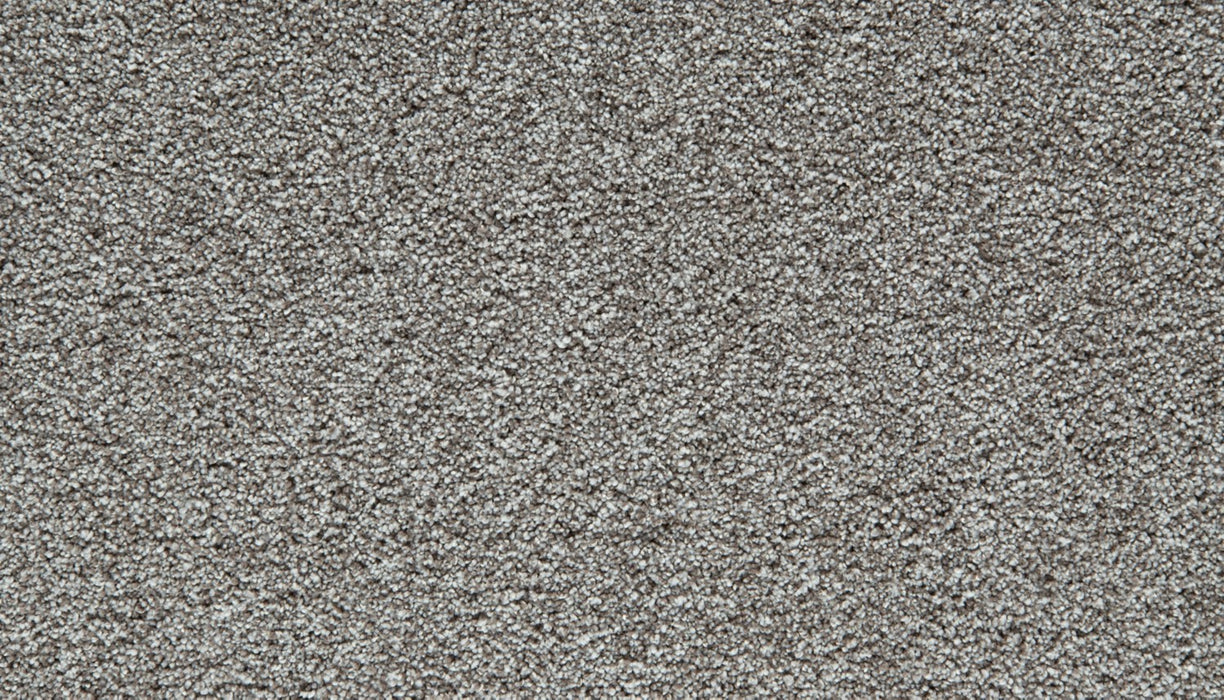 Cozy Companion I Polyester Pebble Trail 959 Carpet Textured 1