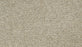 Cozy Companion II Polyester Ivory 708 Carpet Textured 1