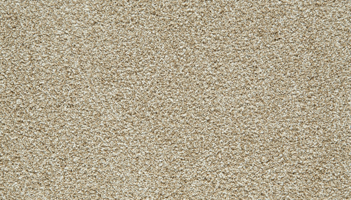 Cozy Companion II Polyester Soft Echo 731 Carpet Textured 1