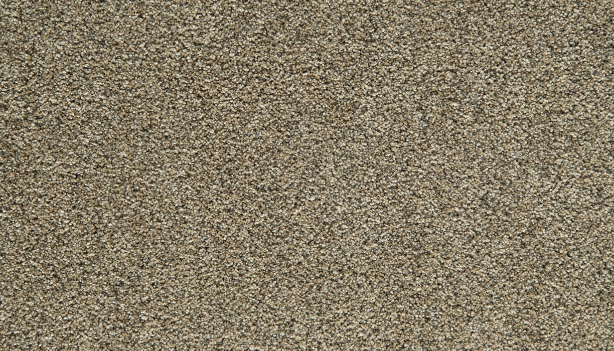 Cozy Companion II Polyester Barn Owl 759 Carpet Textured 1