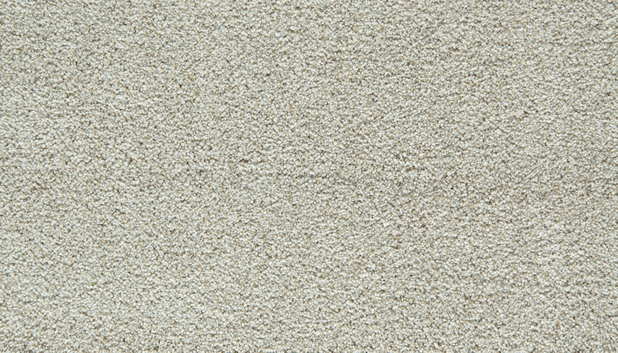 Cozy Companion II Polyester London Fog 917 Carpet Textured 1