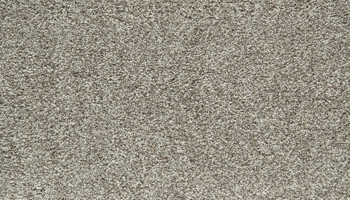 Cozy Companion II Polyester Winter 954 Carpet Textured 1