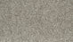 Cozy Companion II Polyester Winter 954 Carpet Textured 1