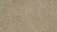 Cozy Companion III Polyester Soft Echo 731 Carpet Textured 1