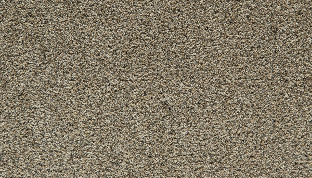 Cozy Companion III Polyester Barn Owl 759 Carpet Textured 1