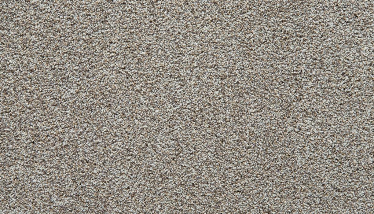 Cozy Companion III Polyester Soapstone 837 Carpet Textured 1