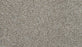 Cozy Companion III Polyester Soapstone 837 Carpet Textured 1