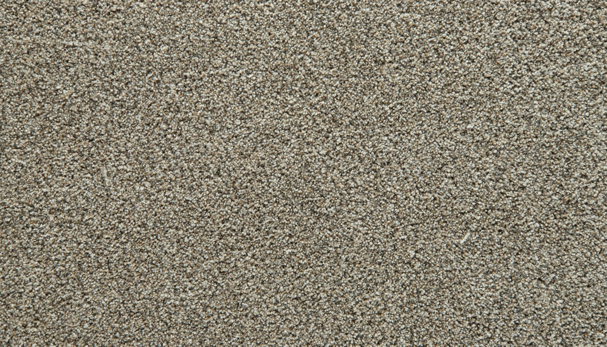 Cozy Companion III Polyester Stillness 858 Carpet Textured 1