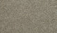 Cozy Companion III Polyester Stillness 858 Carpet Textured 1