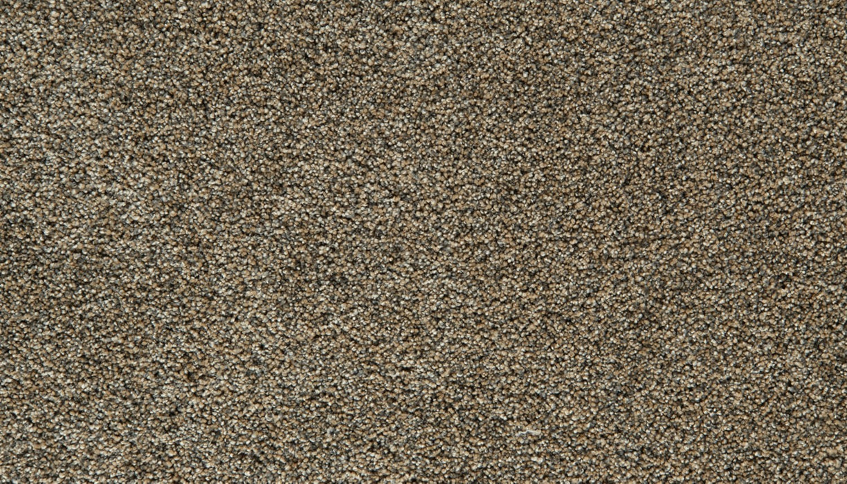 Cozy Companion III Polyester Thatched 872 Carpet Textured 1