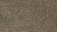 Cozy Companion III Polyester Thatched 872 Carpet Textured 1