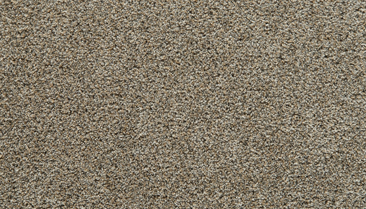 Cozy Companion III Polyester Homestead 878 Carpet Textured 1