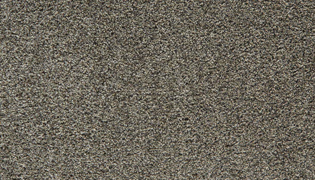 Cozy Companion III Polyester Slate 979 Carpet Textured 1