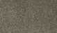 Cozy Companion III Polyester Slate 979 Carpet Textured 1