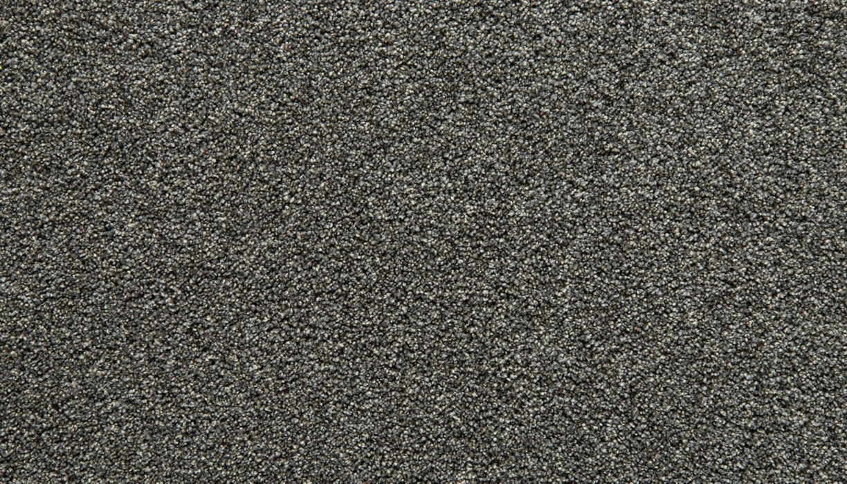 Cozy Companion III Polyester New Moon 989 Carpet Textured 1
