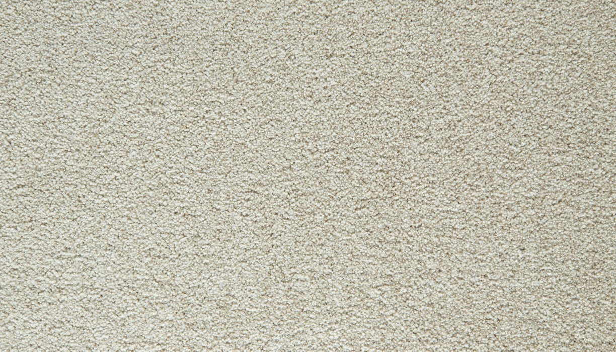 Cozy Companion IV Polyester Frosted Almond 702 Carpet Textured 1