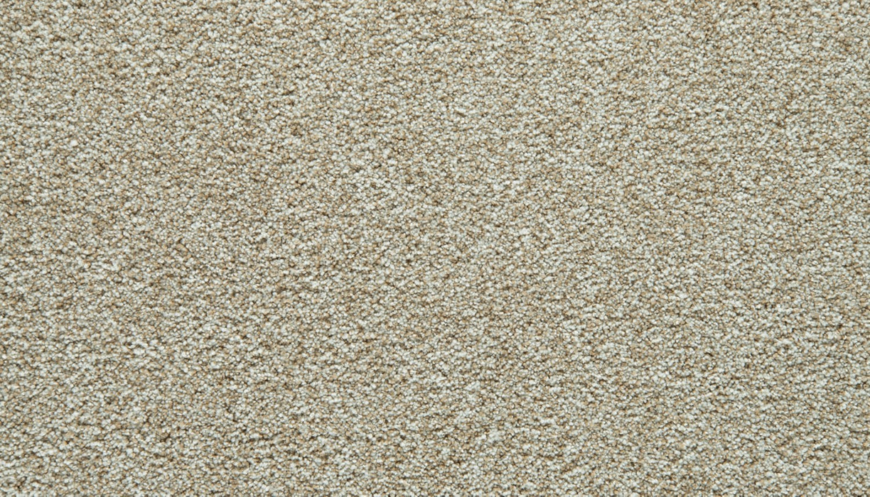 Cozy Companion IV Polyester Coconut 707 Carpet Textured 1