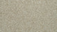 Cozy Companion IV Polyester Coconut 707 Carpet Textured 1