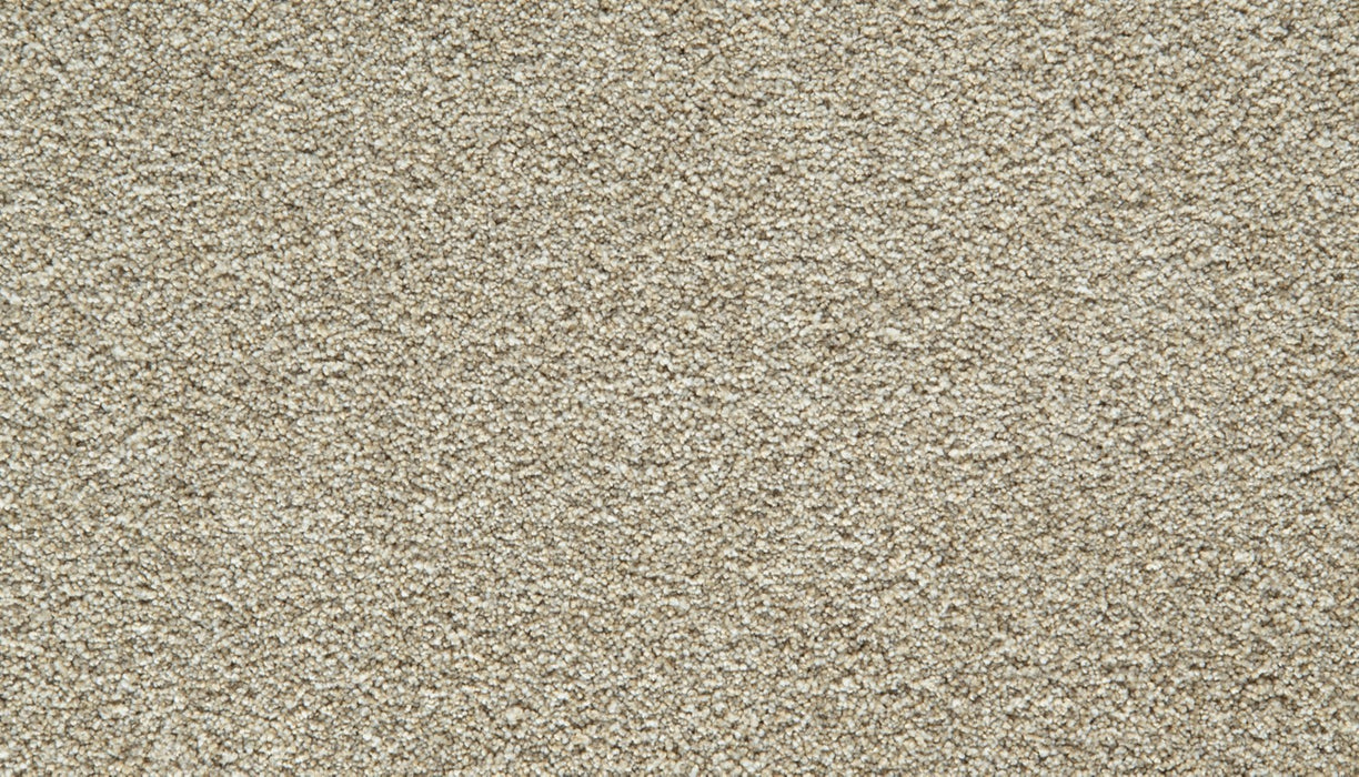 Cozy Companion IV Polyester Ivory 708 Carpet Textured 1