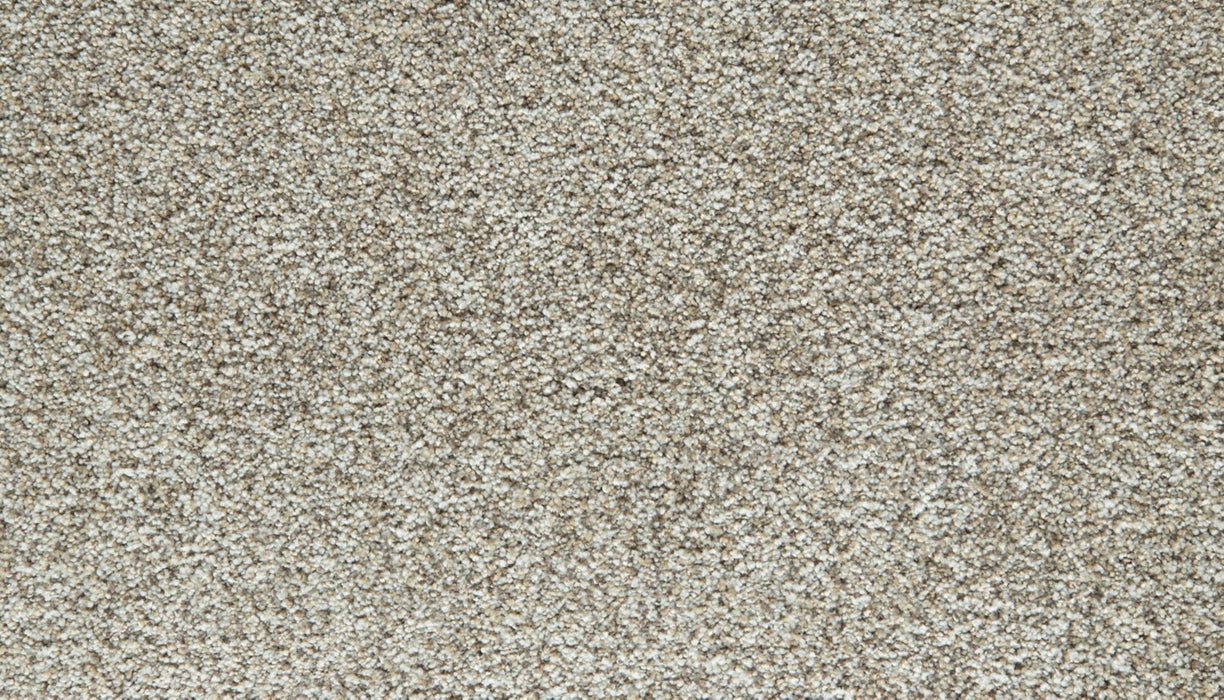 Cozy Companion IV Polyester Fawn 739 Carpet Textured 1