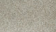 Cozy Companion IV Polyester Fawn 739 Carpet Textured 1