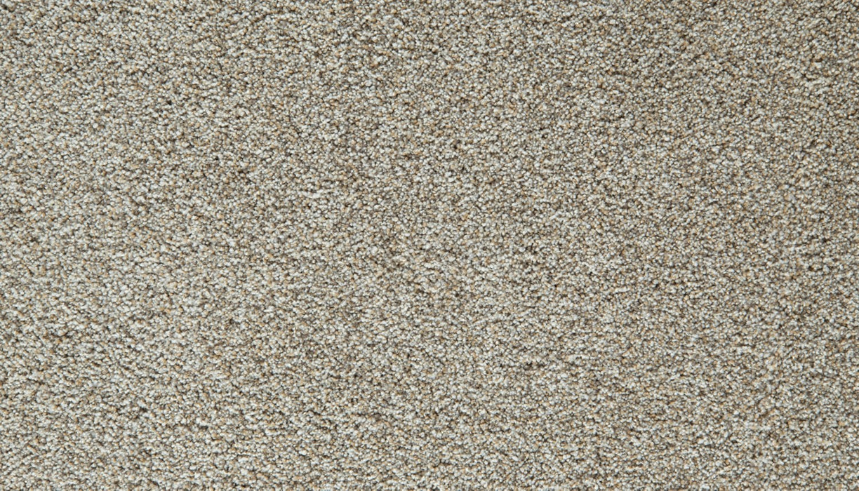 Cozy Companion IV Polyester Soapstone 837 Carpet Textured 1