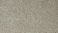 Cozy Companion IV Polyester Soapstone 837 Carpet Textured 1