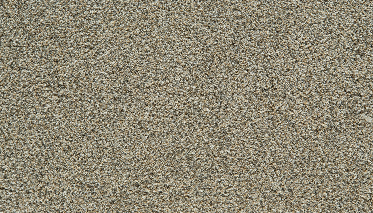 Cozy Companion IV Polyester Stillness 858 Carpet Textured 1
