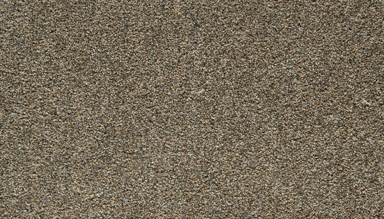 Cozy Companion IV Polyester Thatched 872 Carpet Textured 1