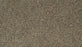Cozy Companion IV Polyester Thatched 872 Carpet Textured 1