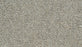 Cozy Companion IV Polyester Oyster 948 Carpet Textured 1