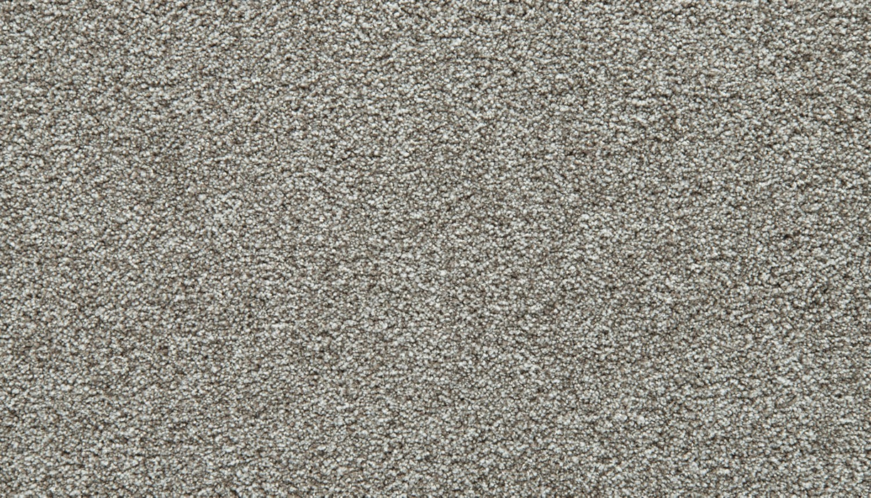 Cozy Companion IV Polyester Pebble Trail 959 Carpet Textured 1