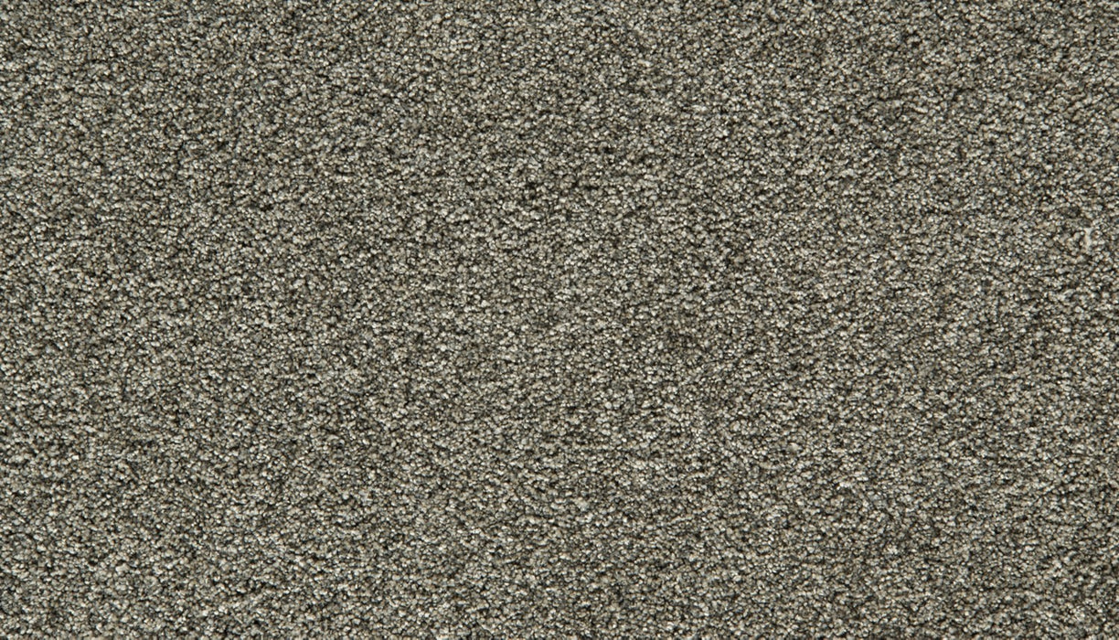 Cozy Companion IV Polyester Slate 979 Carpet Textured 1