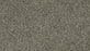 Cozy Companion IV Polyester Slate 979 Carpet Textured 1