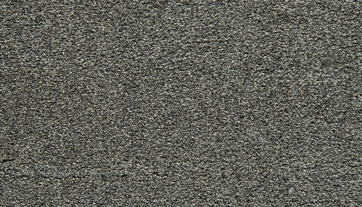 Cozy Companion IV Polyester New Moon 989 Carpet Textured 1