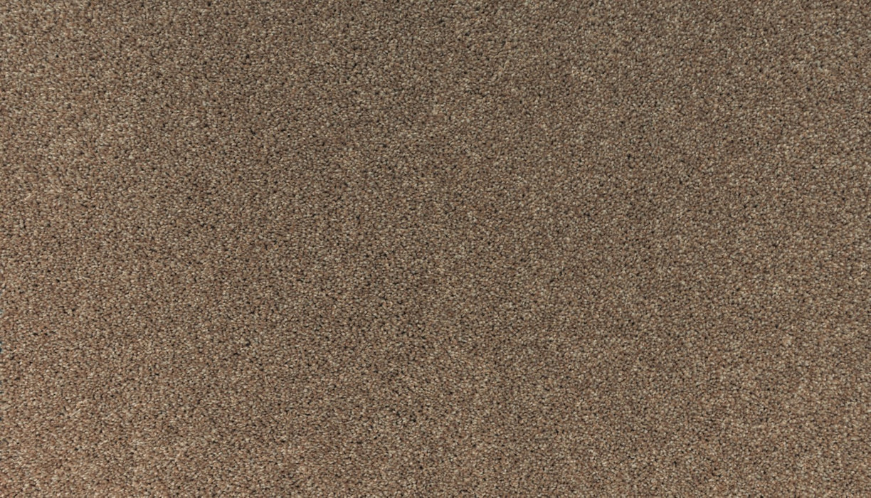 Balance II Polyester Wind 762 Carpet Textured 1