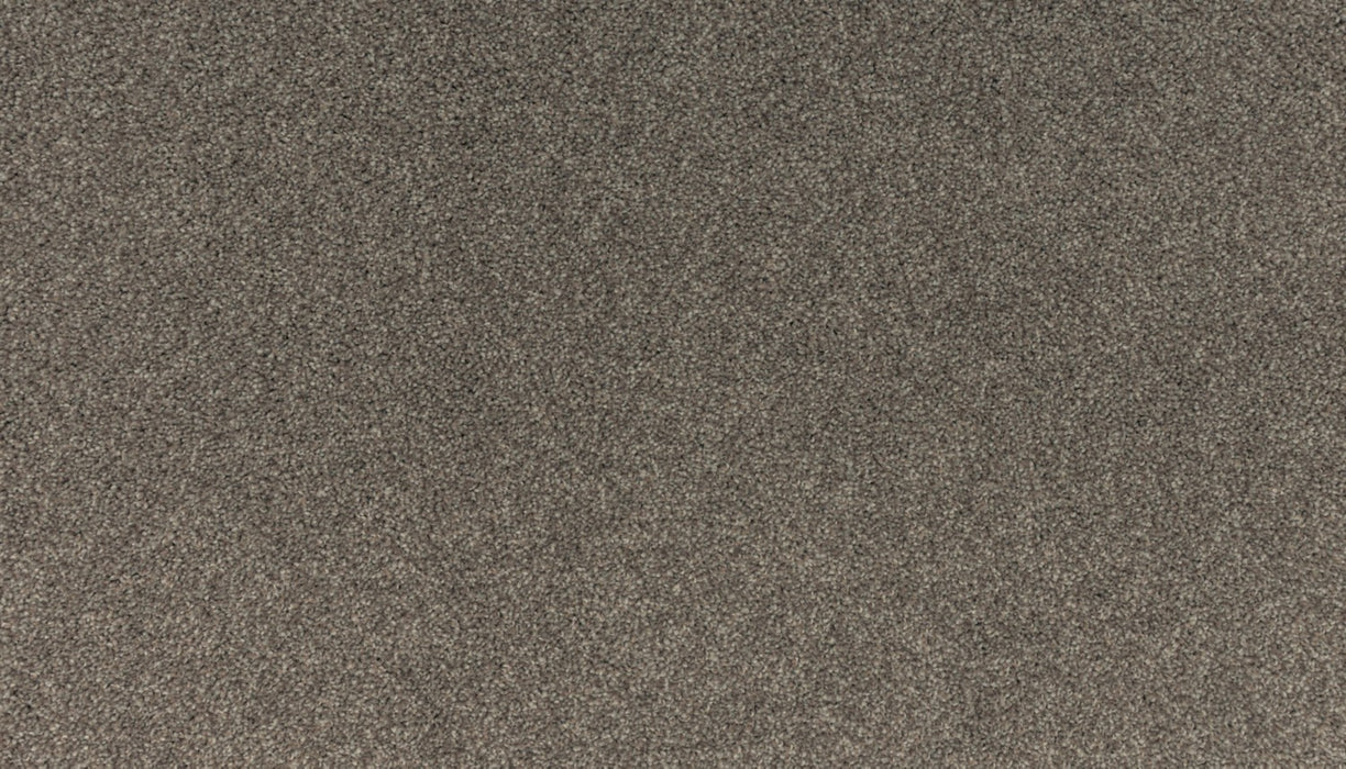 Balance II Polyester Vapor 878 Carpet Textured 1