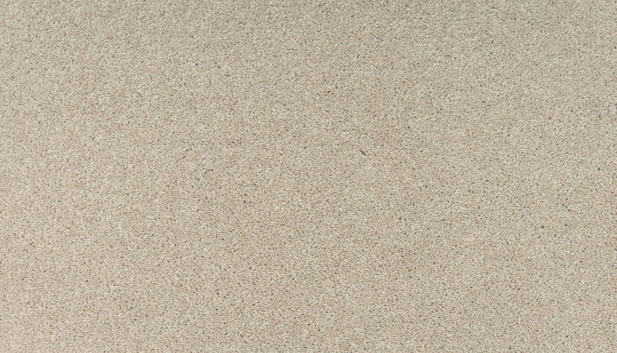 Balance III Polyester Angora 721 Carpet Textured 1