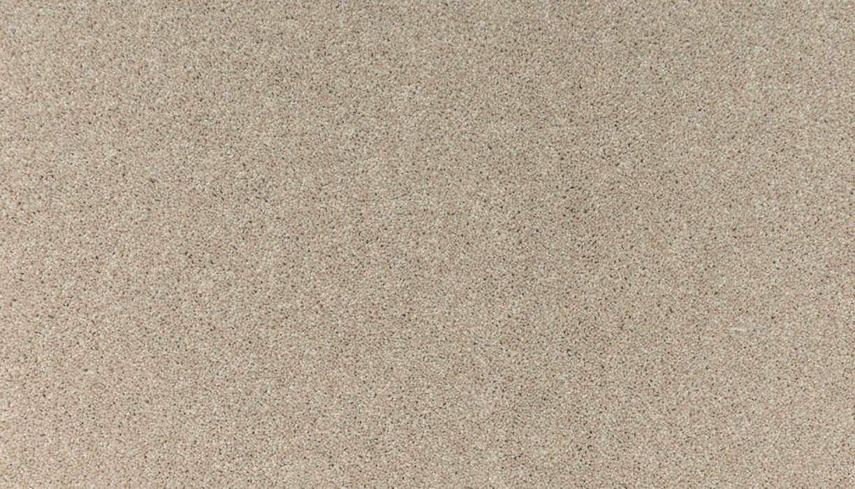 Balance III Polyester Oslo 727 Carpet Textured 1