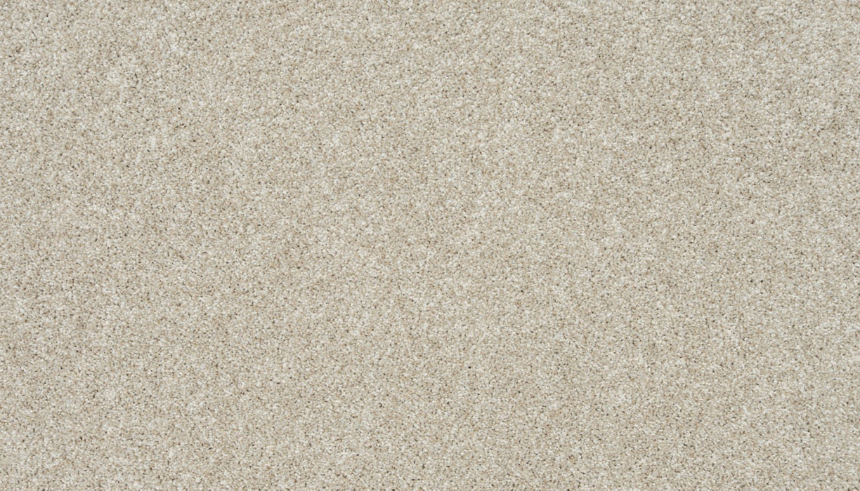 Apollo II Polyester Champagne Mist 703 Carpet Textured 1