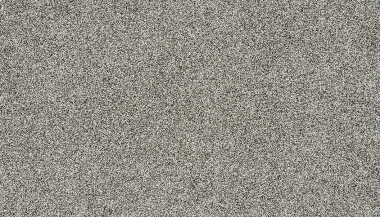 Apollo II Polyester Umbra Drift 953 Carpet Textured 1