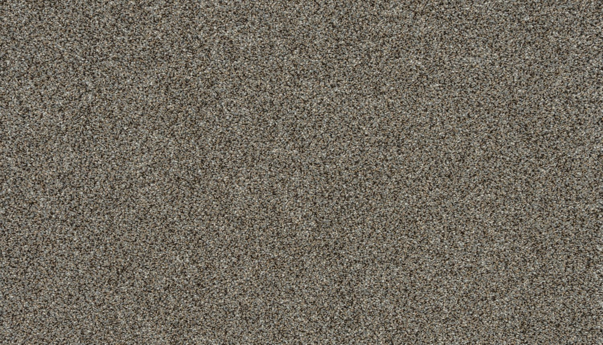 Apollo II Polyester Shadow Veil 973 Carpet Textured 1