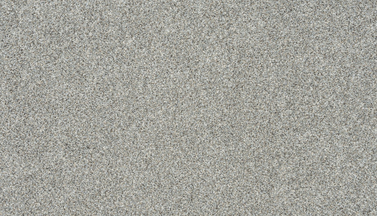 Apollo III Polyester Quiet Orbit 955 Carpet Textured 1