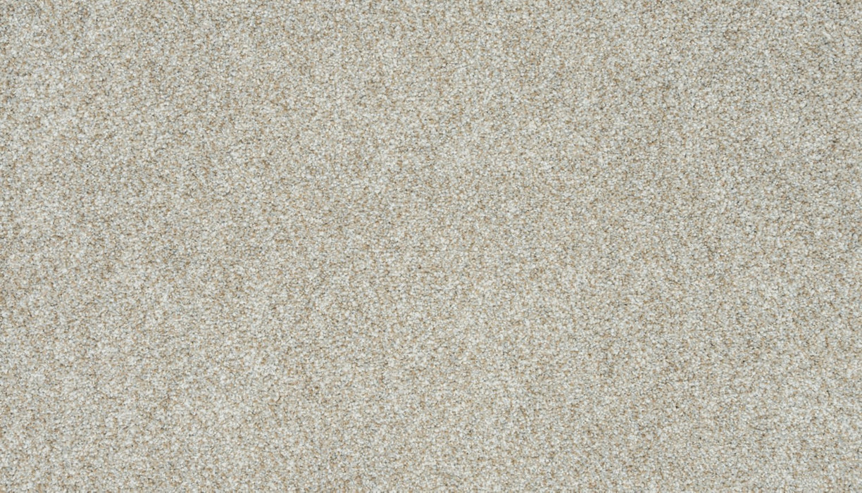 Apollo IV Polyester Honeyed Stone 719 Carpet Textured 1
