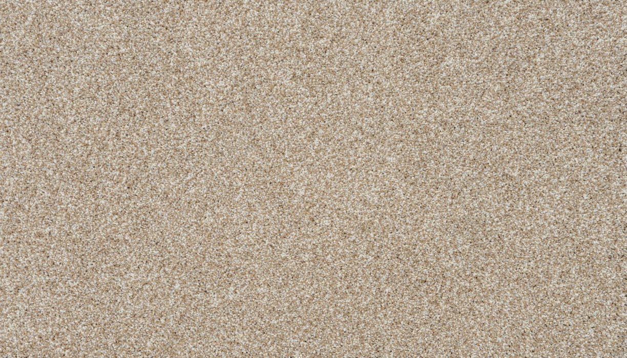 Apollo IV Polyester Vanilla Drift 735 Carpet Textured 1