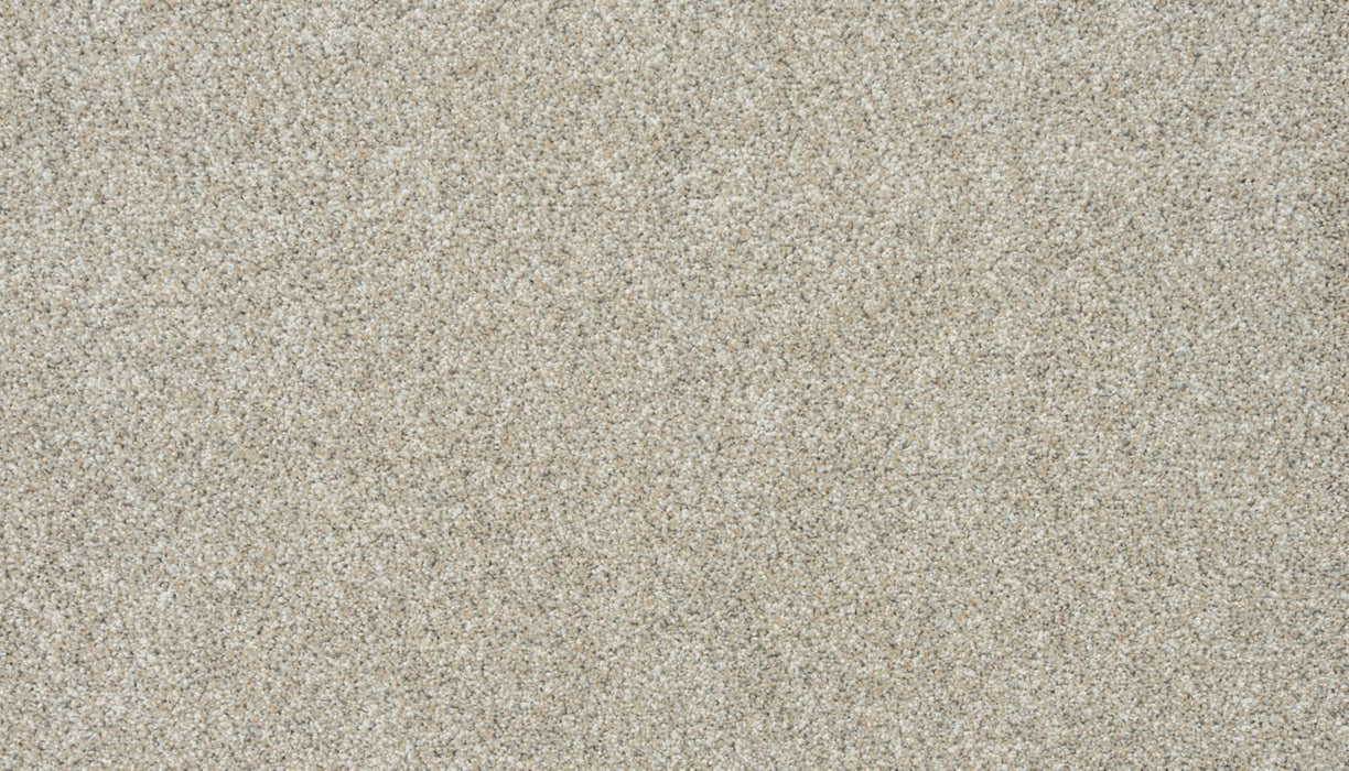 Apollo IV Polyester Calcite 935 Carpet Textured 1