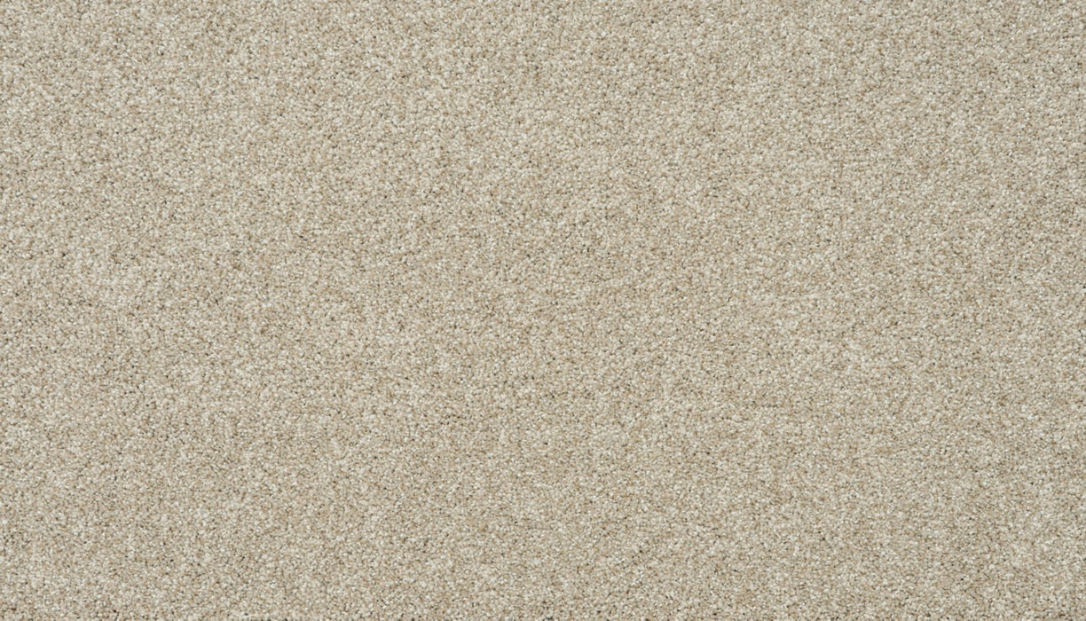 Apollo I Polyester Mineral Taupe 732 Carpet Textured 1